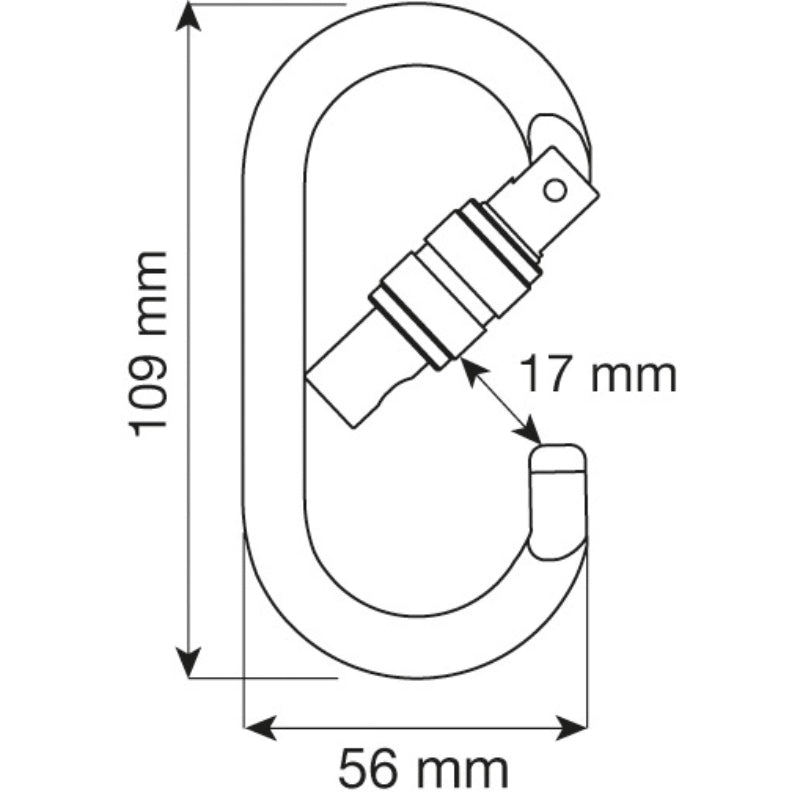 Camp Oval Pro Lock Stahlkarabiner